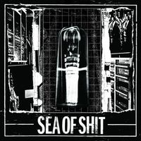 Sea of Shit - Sea of Shit & Radiation Blackbody Split