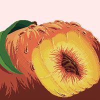 Lindsay Lowend - Nectarine