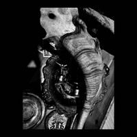 Unholy Vampyric Slaughter Sect - Canticle Bound in Spirit the Faith in Exalted Vampyric Blood