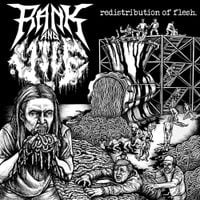 Rank and Vile - Redistribution of Flesh.