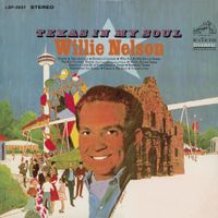 Willie Nelson - Texas in My Soul