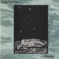 Long Fin Killie - Houdini