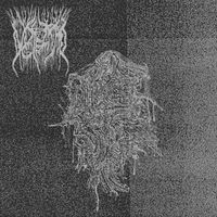 Visceral Gleam - Visceral Gleam