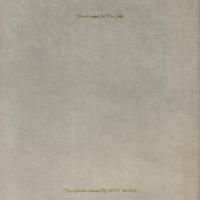 Scott Walker - Fire Escape in the Sky: the Godlike Genius of Scott Walker