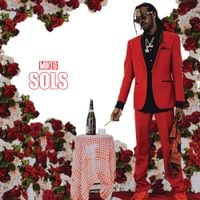Mike G - S.O.L.S.