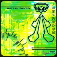 Metaroom - Metadata