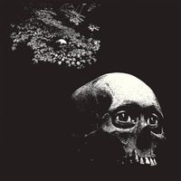 Osees - Funeral Solution