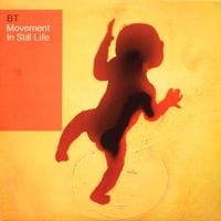 BT - Movement in Still Life