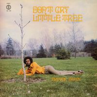 Trevor Dandy - Don't Cry Little Tree