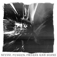 The Bread Scientists - Scuzz, Fungus, Freaks and Noise