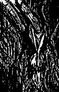 Vlad Tepes - Morte lune