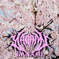 Yagami - Hanami