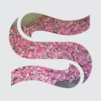 Braxe + Falcon - Step by Step