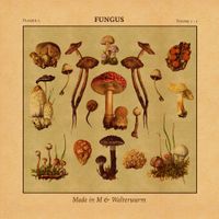 Made In M & Walterwarm - Fungus