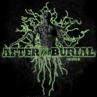 After the Burial - Rareform