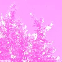 Moonlit Tree - Revealed