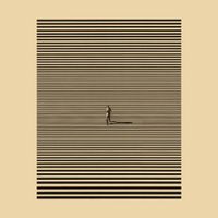 Eagle Eyed Tiger - Feathers