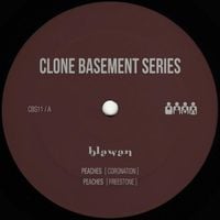 Blawan - Peaches