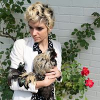 Gabi Garbutt - Cockerel