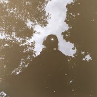 Soft Blade - Glimpse