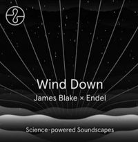 James Blake & Endel - Wind Down