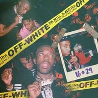Lil Uzi Vert & Playboi Carti - 16*29