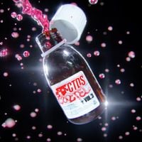 Gloosito, Shynelevell, JayDime - CTDS Vol. 3
