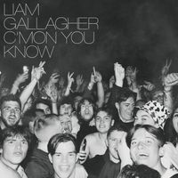 Liam Gallagher - Diamond In The Dark