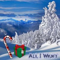 Storm Music. - All I Want