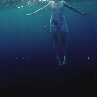 Flower Face - The Shark in Your Water
