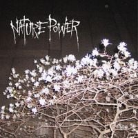 Taylor Morgan - Nature Power