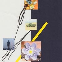 Hovvdy - billboard for my feelings