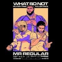 What So Not - Mr Regular