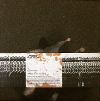:zoviet*france: - Gris