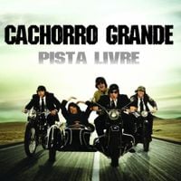 Cachorro Grande - Pista Livre