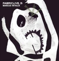 Marcus Intalex - FabricLive.35