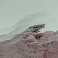 Beth Orton - Weather Alive