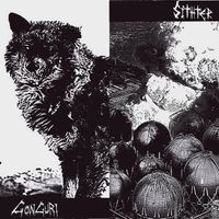 Sithter - Gonguri & Sithter Split