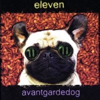 Eleven - Avantgardedog