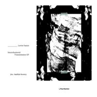 Lewis Fautzi - Neurohumural Transmission