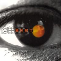 陶喆 [David Tao] - 黑色柳丁 [Black Tangerine]