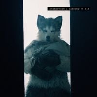 iamamiwhoami - ​walking on air