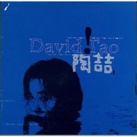 【新品未使用、未開封】DAVID TAO（LP）陶喆　台湾音楽　レコード David Tao 陶喆 陶吉吉 台湾 レコード Vinyl LP + 7インチ