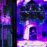 Transorganic Terraformation - Chronosphere of Illusions