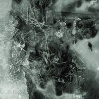 Swampworm - Nahab