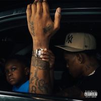 CEO Trayle - The Collection