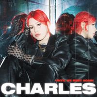 Charles - Unitl we meet again