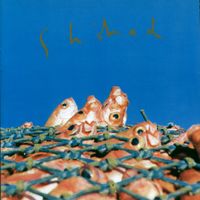 Shihad - Shihad
