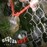 DESTRAVALT - Forte Forte