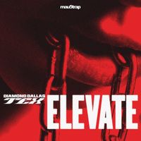 Diamond Dallas Tex - Elevate